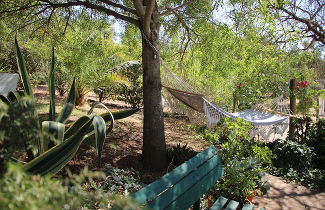 Casa das Moles - Foto 16