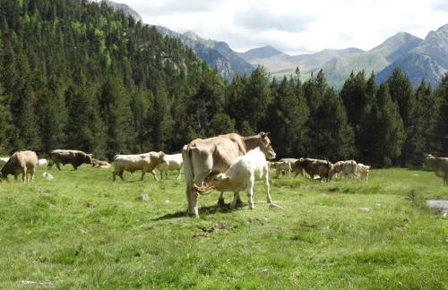 UNIQUE EXPERIENCE - Boí-Taüll Apartment - Foto 35