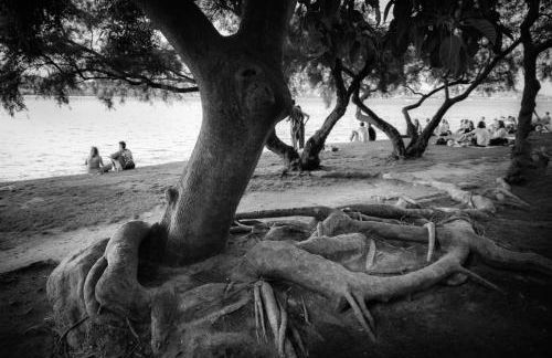 DORA'S HOME - Foto 55