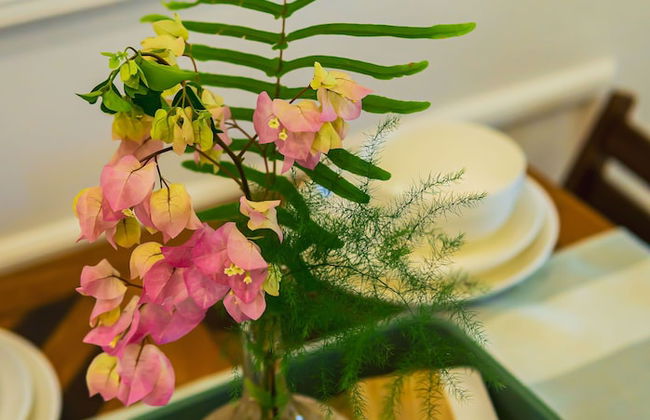 Colonial Wolf Oasis - Foto 19