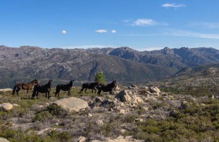 Studio Gerês - Foto 23
