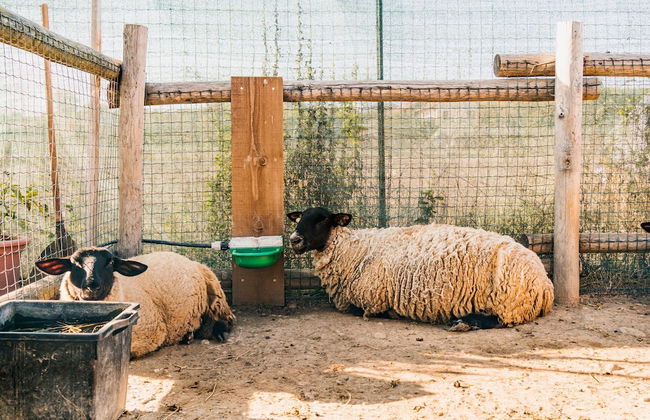 La Tenuta di Santo Stefano Agri Resort & Spa - Photo 54