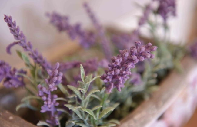 Luxury Cottage Near Windsor Castle - Foto 22