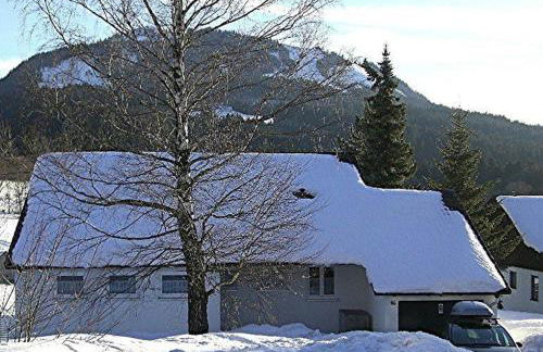 Ferienhaus Gamssteige im Feriendorf Reichenbach G16 - Foto 8