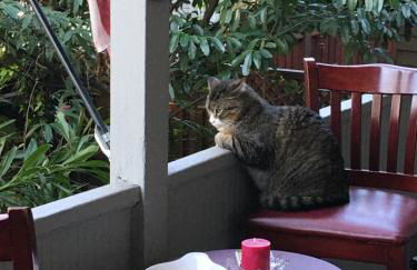 Midtown Vibe - Foto 7