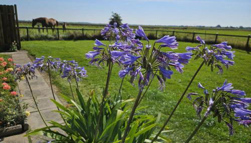 Haus Wiesenblick - Photo 2
