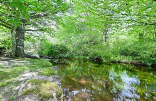 Highlands Cabin on Buck Creek about 8 Mi to Town! - Foto 32