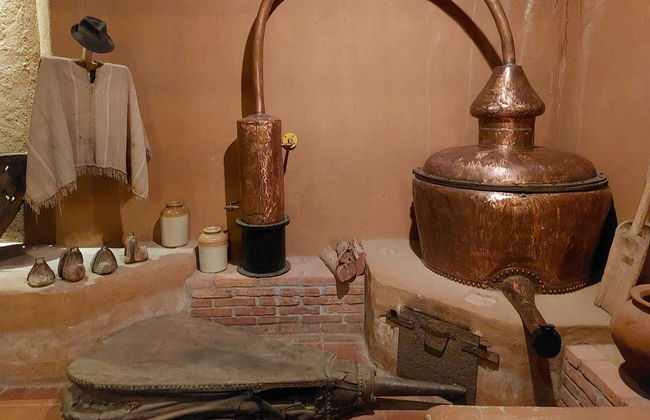 Elqui Valley Tour - Photo 3