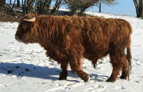 Ferienwohnung Rummelsmühle - Foto 25