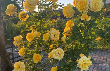 Residence Nonna Giuseppina - Foto 77