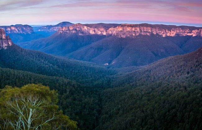 Kurrajong Village Delight - Photo 16