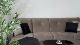 Paulus Living - Photo 3