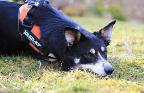 Room with a view - Photo 51