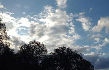 Ferienwohnung Schmallenberg - Foto 46