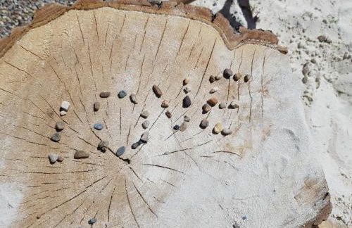 ElbQuartier Apartments Magdeburg 'Die Stadtoase' - Foto 18