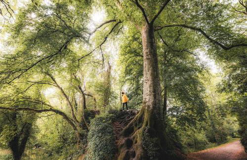 La Grange et le Nid - Photo 19