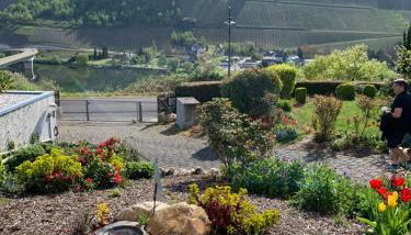 Fewo Moselblick - Foto 4