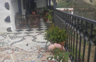 Finca Lomo Grande - Foto 58