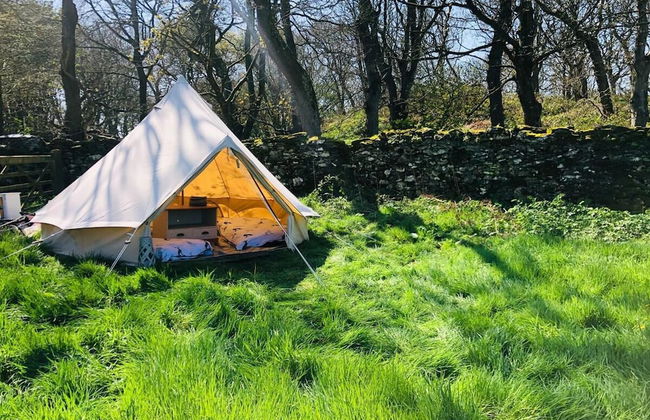 Bell Tent , Carreglwyd Estate, Anglesey - Photo 40