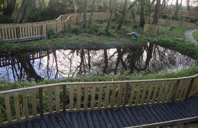 Large Sound Healing Retreat Cottage in West Wales - Foto 16