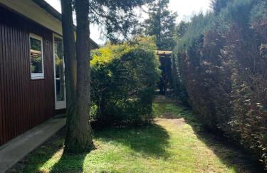 Gepflegtes-Ferienhaus-am-Dankernsee-Haren-Emsland - Photo 16