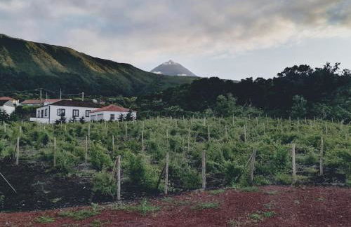 Casas do Baleeiro - Casa da Vinha - Photo 5