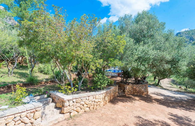 Sa Tarongera in Andratx - Foto 30