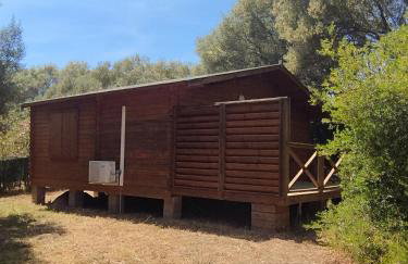 chalets bois 150m de la plage - Foto 28