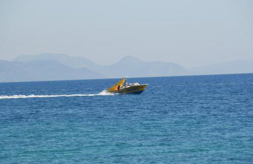 Villa Dalmatina - Photo 41