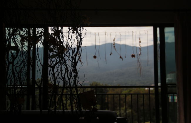 5 Min Ninman Road & Best Mountain View - Foto 20