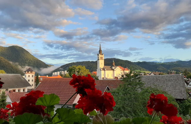 Hotel Loka - Photo 73