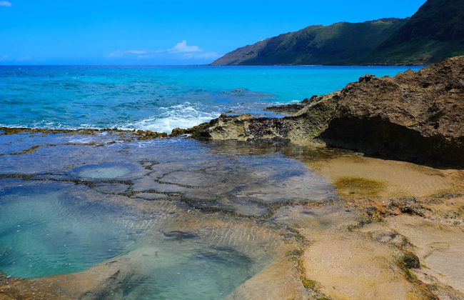 Studio Nene by AvantStay | Chic, Cozy, King Bed - Foto 30