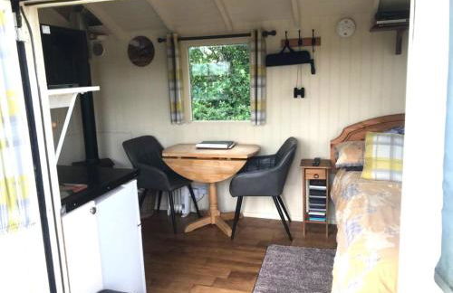 Idyllic Shepherds Hut glorious views to South Downs 'Perch' - Foto 9