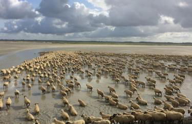 AUTHENTIQUE MAISON DE PECHEUR ENTRE-TERRE & MER Avec Un POÊLE À BOIS A Disposition - Foto 43