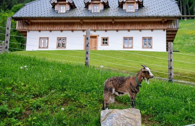 Infanglalm "traunsee" - Foto 40