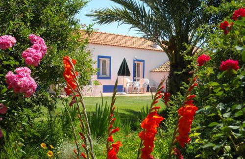 Monte Da Serralheira Agro Turismo - Foto 51