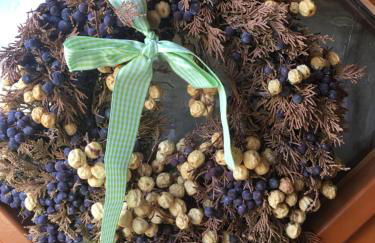 Eifel-Moezelhuis - Foto 5