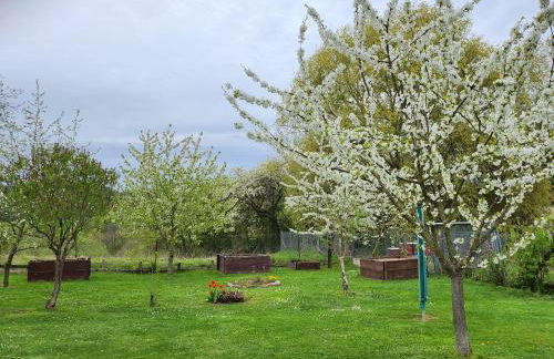 Ferienhaus Naturpur Chorin - Foto 47