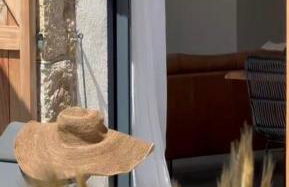 DOMAINE NAPOLEON CORSICA FIGARI - Foto 33