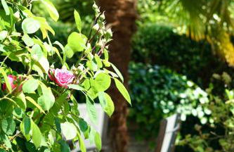 - Zuhause im Weilerblick - - Foto 12