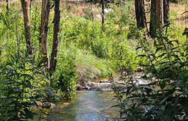 Peaceful Pines Place, a cozy mountain hideaway wAC - Foto 58