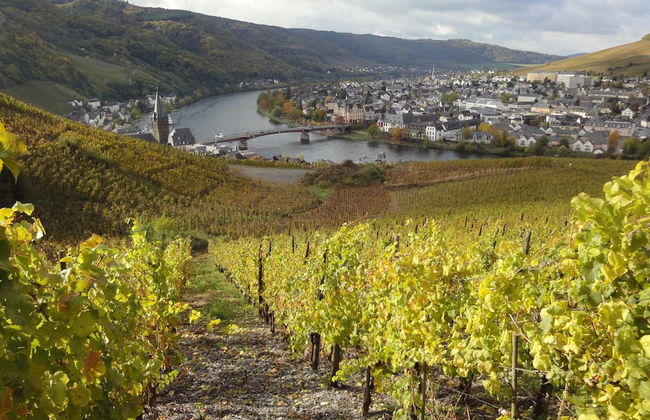 Holiday Home Moselle With Private Sauna - Photo 24