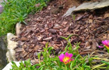 Cottage de La Mothe - Foto 54