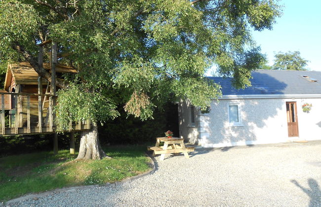 Birchdale Apartment - Photo 1