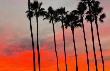 Ocean Views in Long Beach - Foto 60