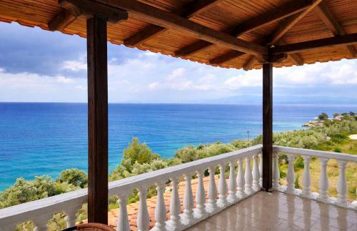 Blue Dandelion - Photo 26