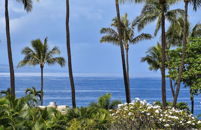 Maui Kaanapali S #a317 Studio Bedroom Condo by RedAwning - Foto 40
