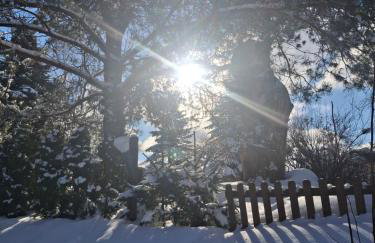 Pod Wierzbą Apartament na Kaszubach - Foto 30