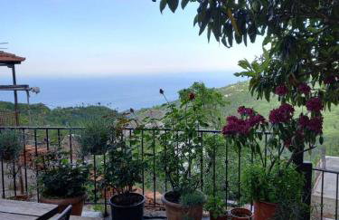 Orizontas Pilio Villa - Photo 26