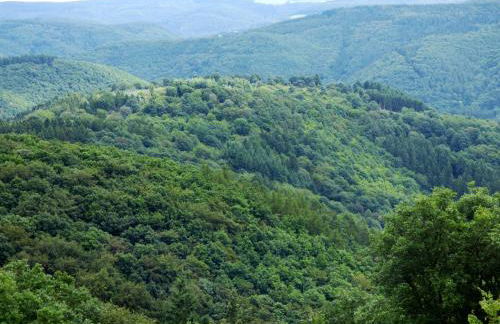 Relaxen am Eifelbach - Foto 11